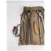 Image 2 : Collection of Farrier Horseshoeing Tools