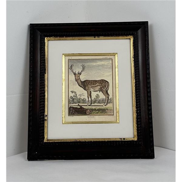 Jacques de Sève Le Daim Etching