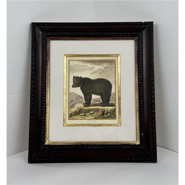 Jacques de Sève L'ours Brun Etching