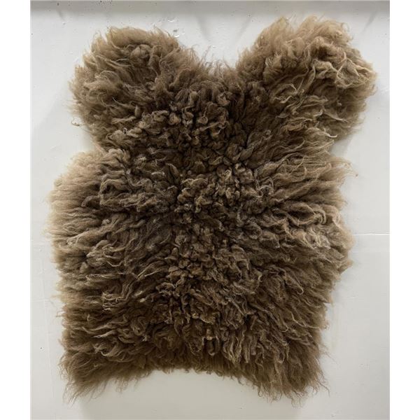 Taxidermy Montana Buffalo Hide Robe Rug