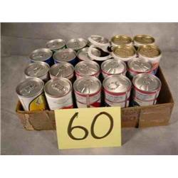 20 assorted Collectible beer cans