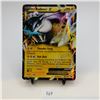 Image 1 : Raikou EX 38/108 BW Dark Explorers