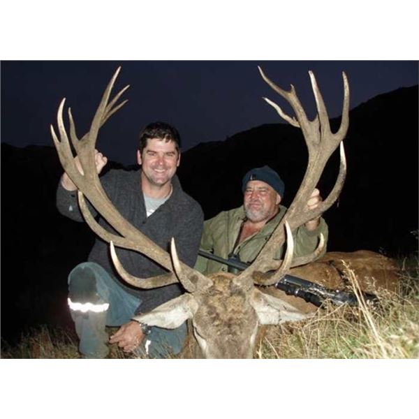 Hunt beautiful New Zealand for Red Stag with Mungunui Hunting Lodge