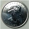 Image 1 : 2010 CANADIAN MAPLE 1 OUNCE