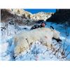 Image 2 : 7 day Mountain Goat Winter Hunt