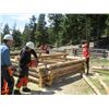 Image 2 : 7 Day Log Cabin  Building Class for two people