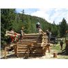 Image 3 : 7 Day Log Cabin  Building Class for two people