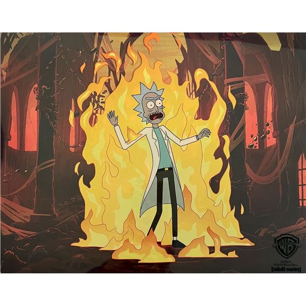 Warner Bros Rick And Morty Sericel Animation Art Meeseeks & Destroy