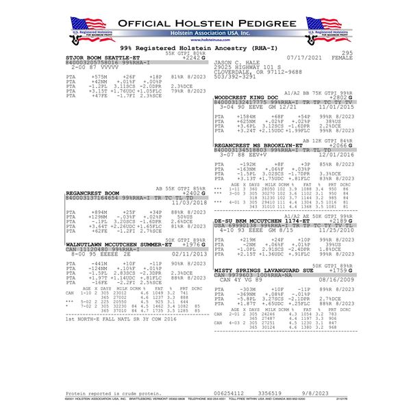 STJOR BOOM SEATTLE-ET - IVF Session