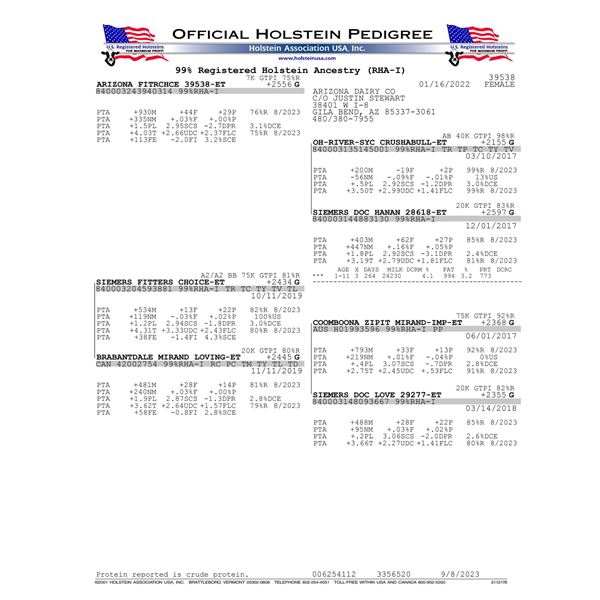 ARIZONA FITRCHCE 39538-ET - IVF Session