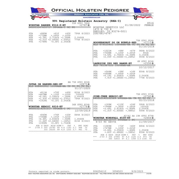 WINSTAR RANGER 8516-P-ET - IVF Session