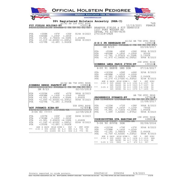 FIT FIELDS HOLIDAY-ET - IVF Session