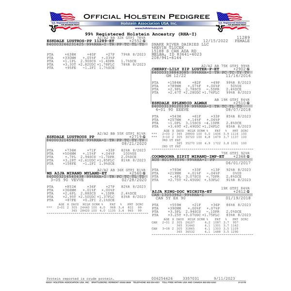 ESKDALE LUSTROS-PP 11289-ET - IVF Session