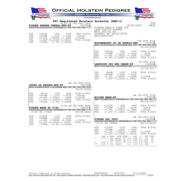 10 Units of Unreal Red - Conventional