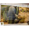 Image 1 : 2 8 FOOT X 4 FOOT DESERT/CACTUS SCENERY