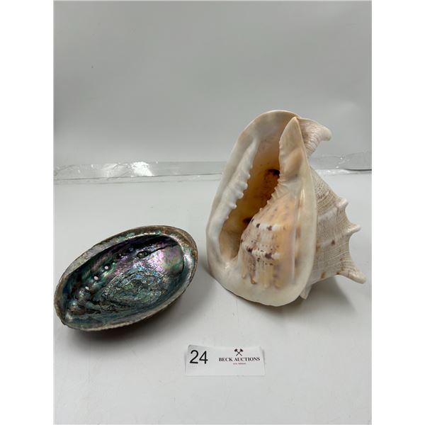 Large Conch & Shell 7T x 6W