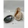 Image 1 : Large Conch & Shell 7T x 6W
