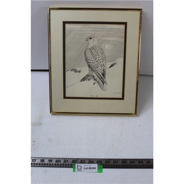 Framed Print of Hawk Numbered 4/90 Frank L Beebe