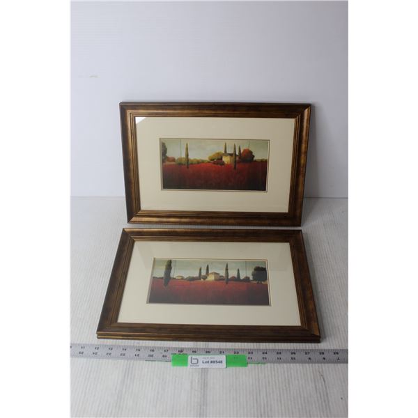 (2) Framed Pieces of Art - 11" x 16"