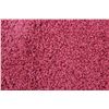 Image 5 : *Carpet Art Decor - Curly Red Shag (3' 11" x 5' 3")