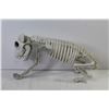 Image 5 : Total Home Projector (10 videos - looks unused) - 3 Legged Dog Skeleton