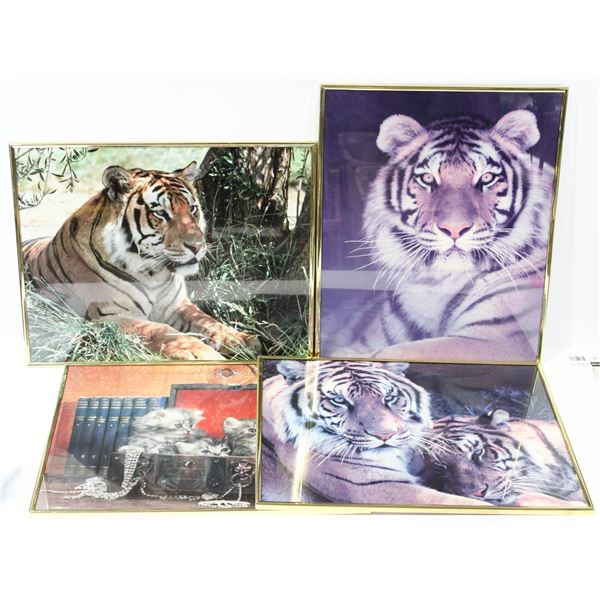 4 CHATEAUX GALLERIES TIGERS & KITTENS PHOTO POSTERS