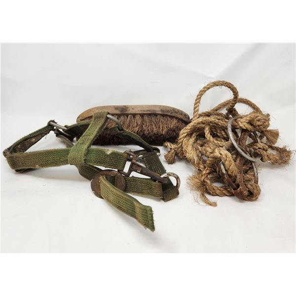 Equine Tack Lot