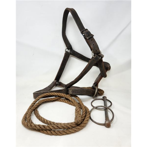 Equine Tack Lot