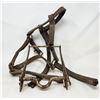 Image 1 : Equine Tack Lot