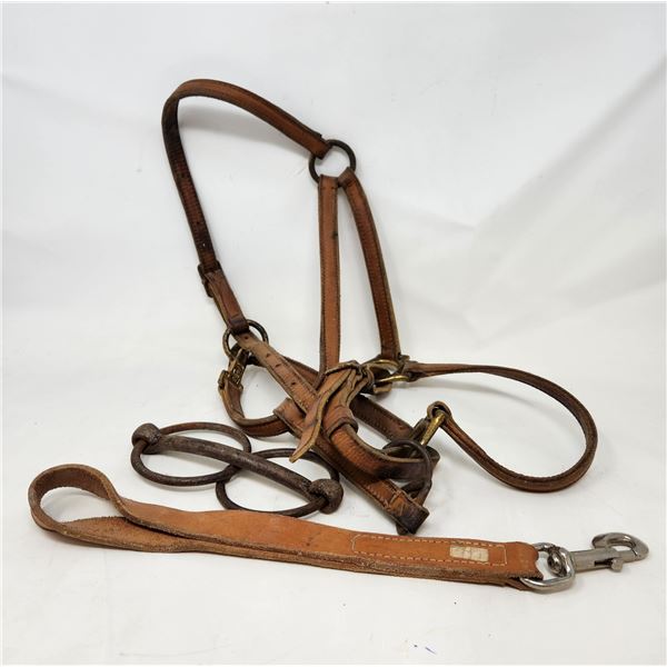 Equine Tack Lot