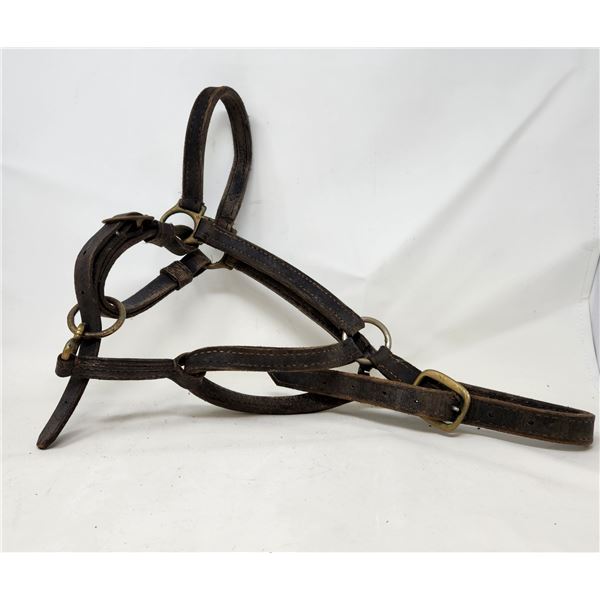 Equine Tack Lot