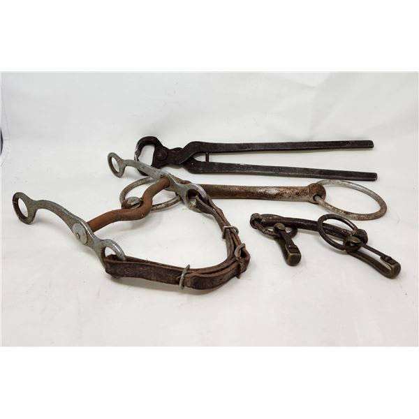 Equine Tack Lot