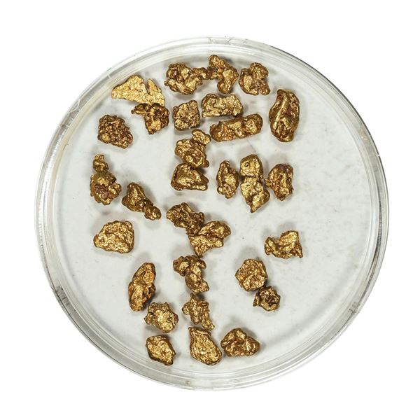 Gold Nuggets 4.87 Grams Total Weight