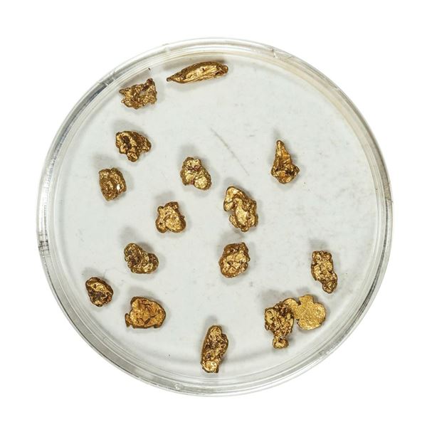 Gold Nuggets 2.50 Grams Total Weight