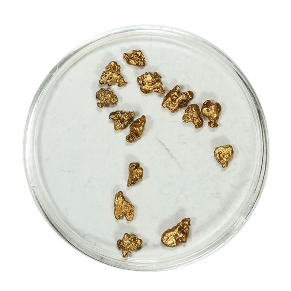 Gold Nuggets 2.05 Grams Total Weight