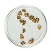 Image 1 : Gold Nuggets 2.05 Grams Total Weight