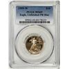 Image 1 : 1999-W $10 American Gold Eagle Coin PCGS MS69 Unfinished Proof Dies