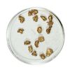 Image 1 : Gold Nuggets 2.43 Grams Total Weight