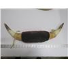 Image 1 : decorative bull horns