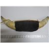Image 4 : decorative bull horns