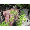 Image 4 : Cinder Blocks, Patio Blocks, Bricks