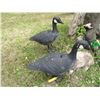 Image 2 : (2) Plastic Geese