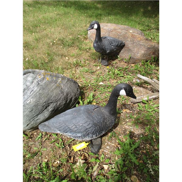 (2) Plastic Geese