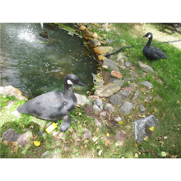 (2) Plastic Geese