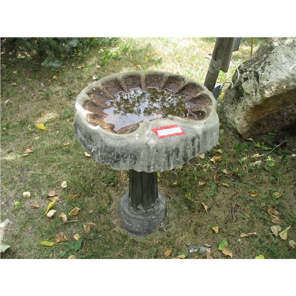 Bird Bath