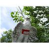 Image 2 : 22" Eagle - Without Post