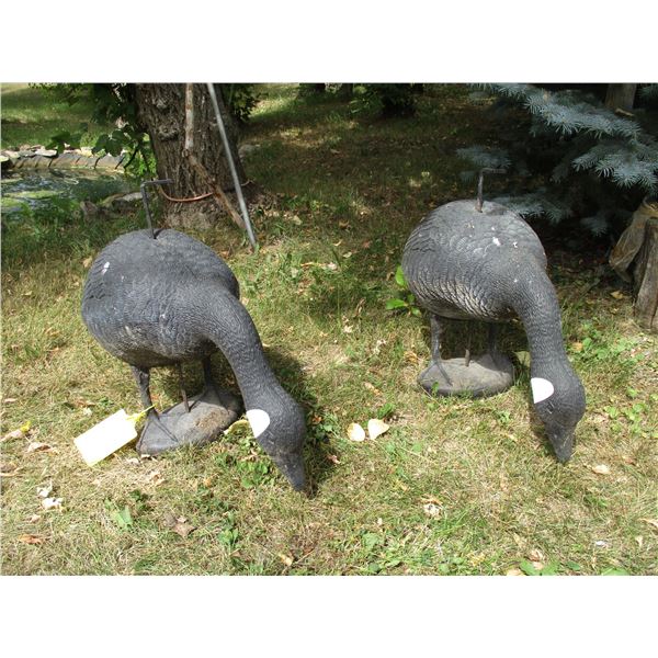 (2) Plastic Geese