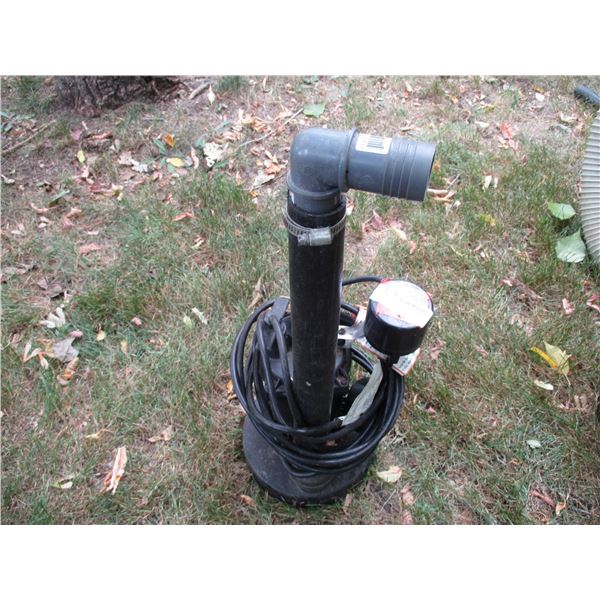 Vertical Master Sump Pump