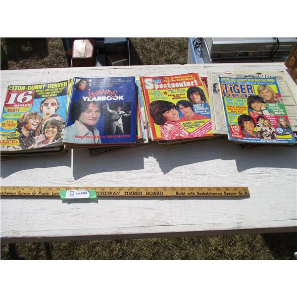 Teen Magazines (Tiger Beat, Teen Talk)