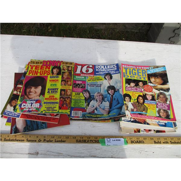 Magazines (Teen Beat, Tiger Beat, Teen Favorites, Rollers, Misc.